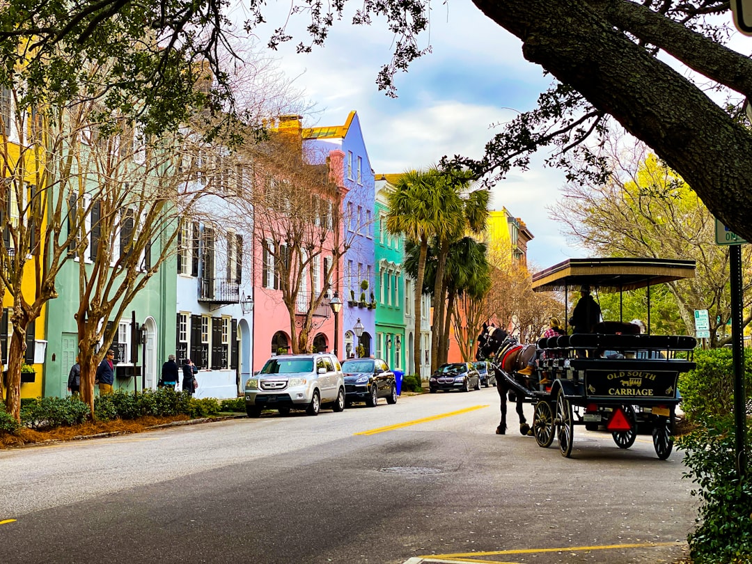 Charleston historic district with horse-drawn carriage