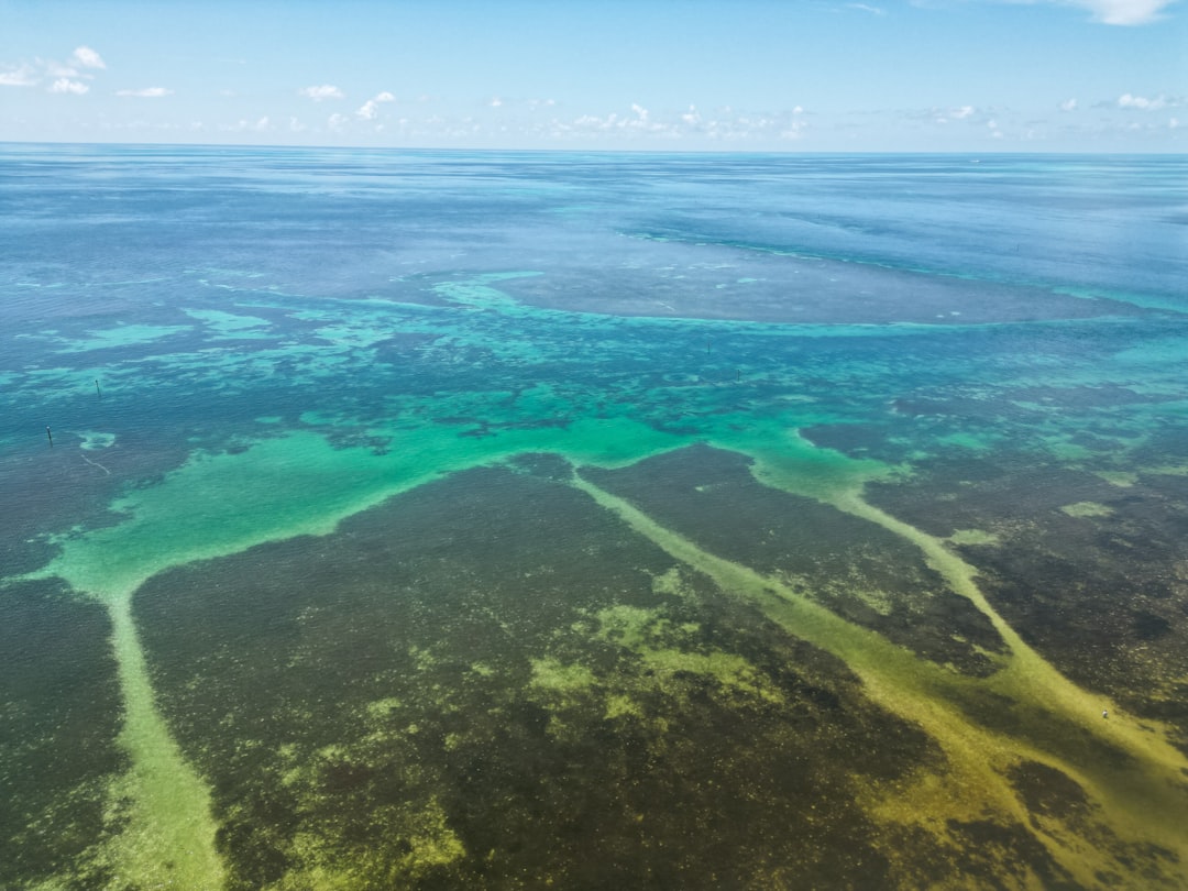 Snorkeling in the clear turquoise waters of the Florida Keys reef
