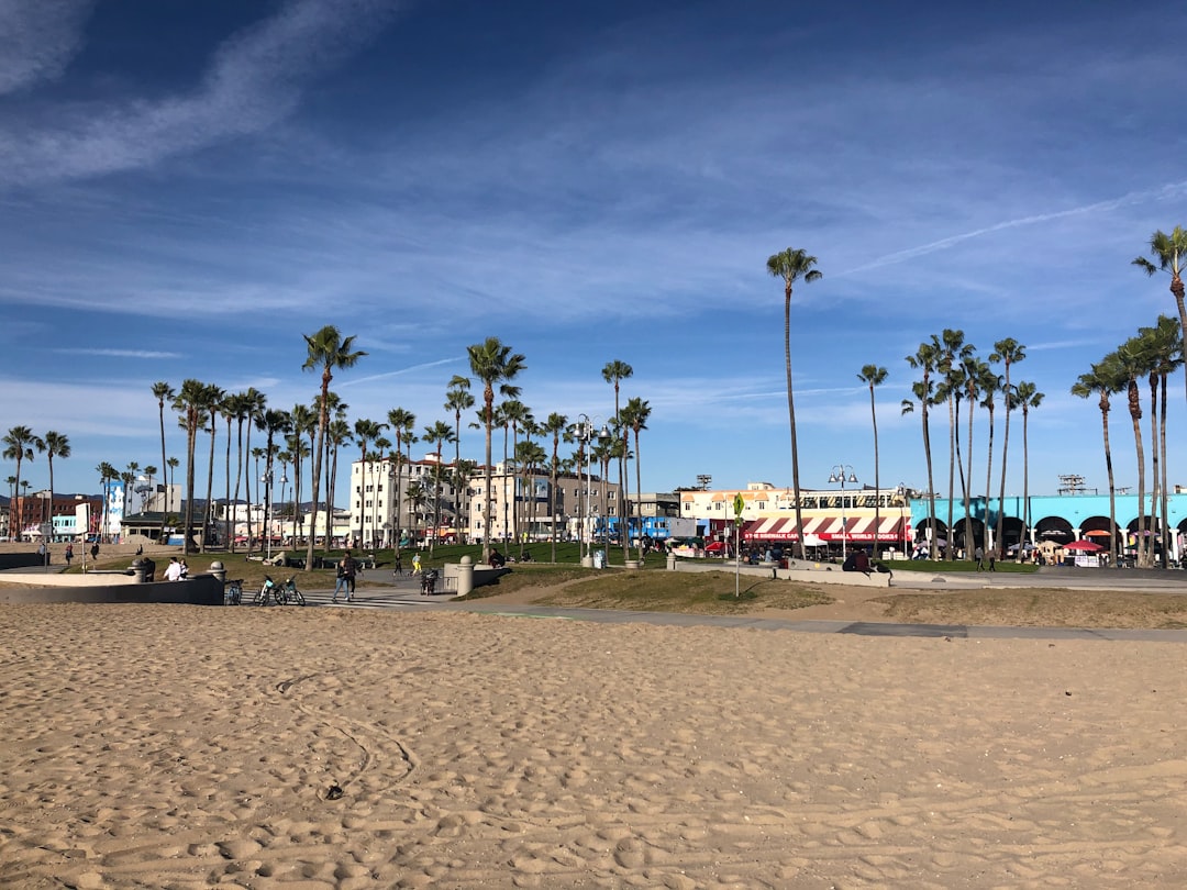 Venice Beach boardwalk with palm trees, Los Angeles