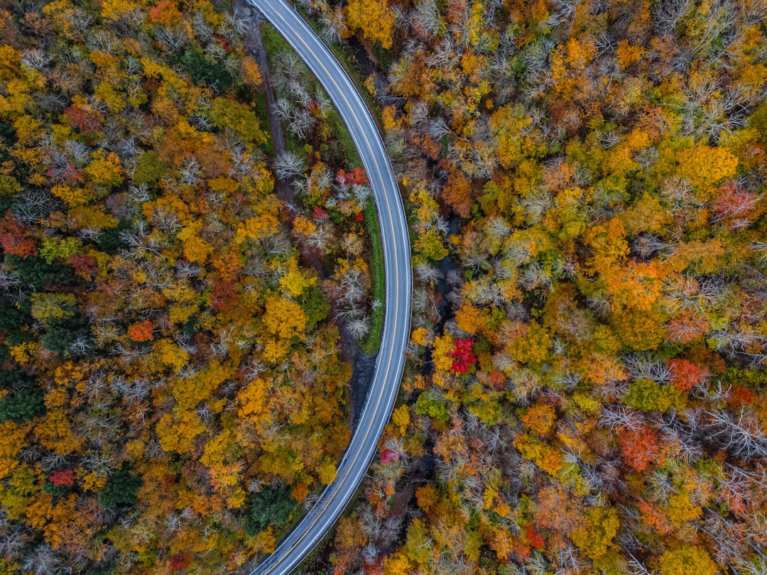 Aerial view of a road surrounded by colorful fall trees