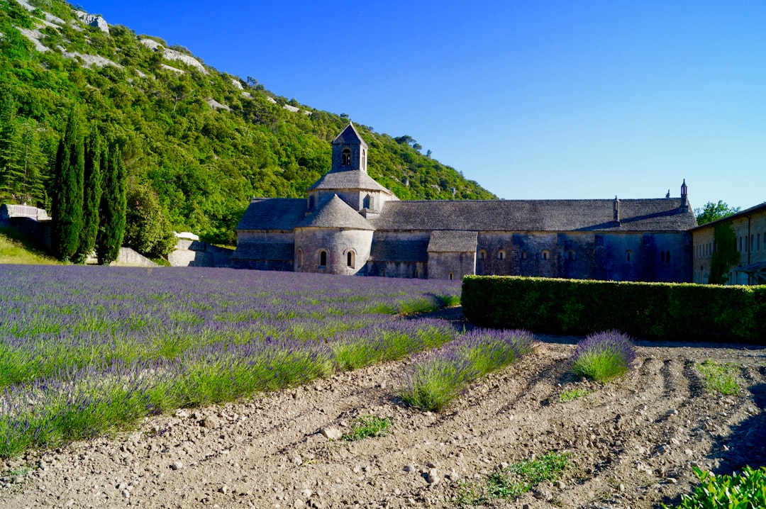 Église de pierre au pied d'une colline en Provence
