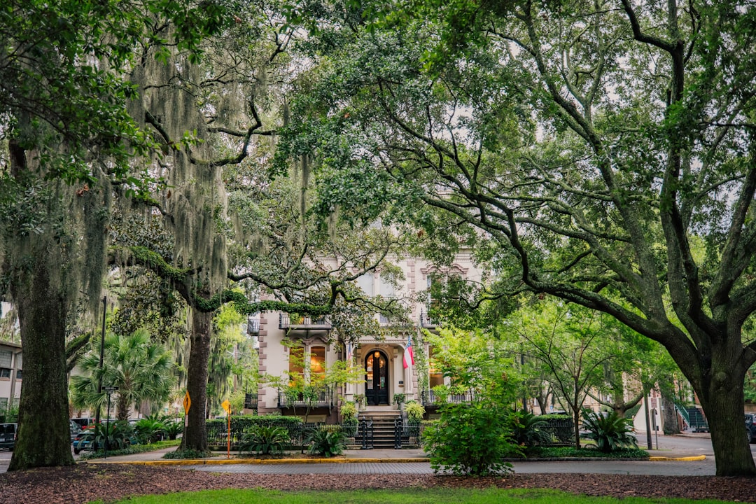 Savannah Georgia historic district with oak trees and Spanish moss