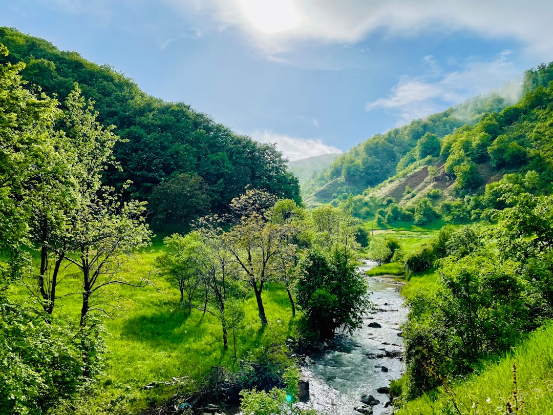 Sentier de levada verdoyant à Madère