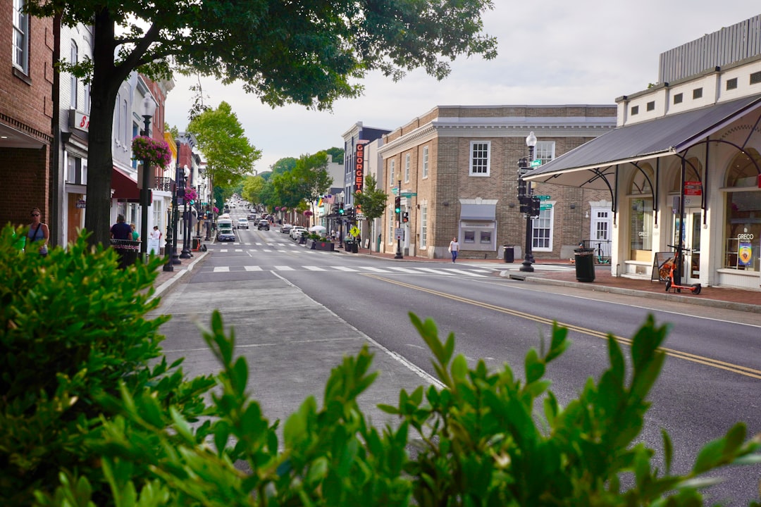 Washington DC neighborhood street scene