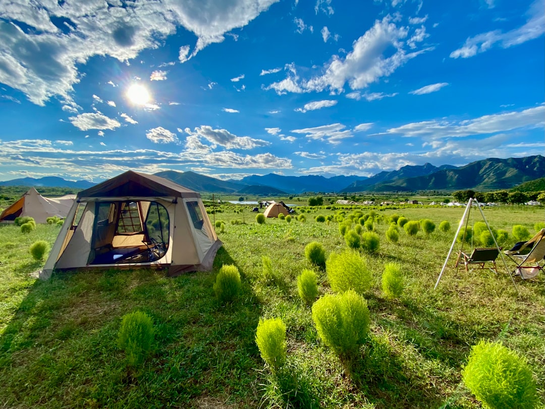 A safari tent set up in a field with mountains in the background