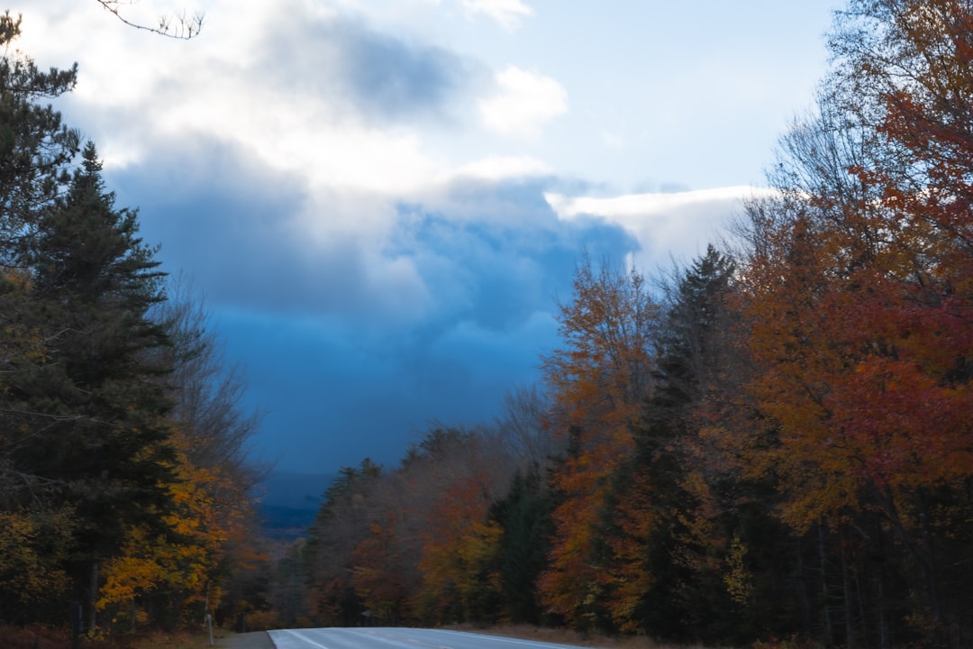 A car driving through the forest on the Kancamagus Highway in fall