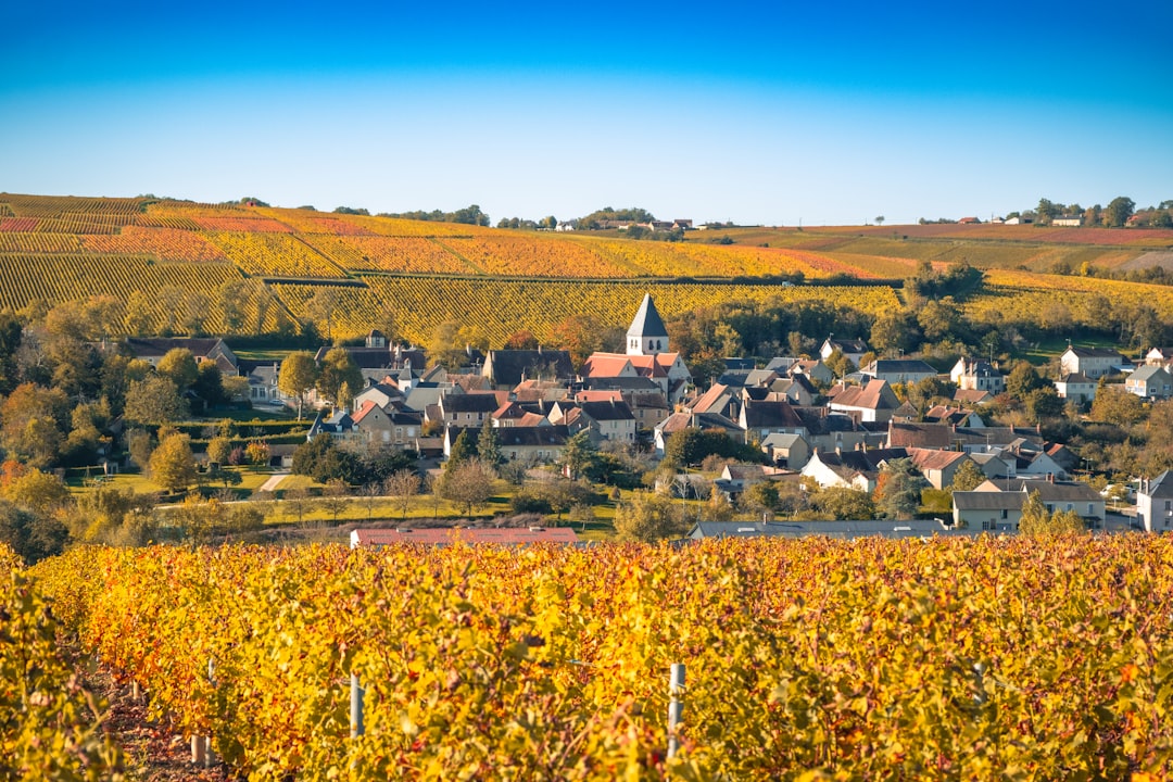Sancerre et ses vignobles en terrasses sur les hauteurs du Berry