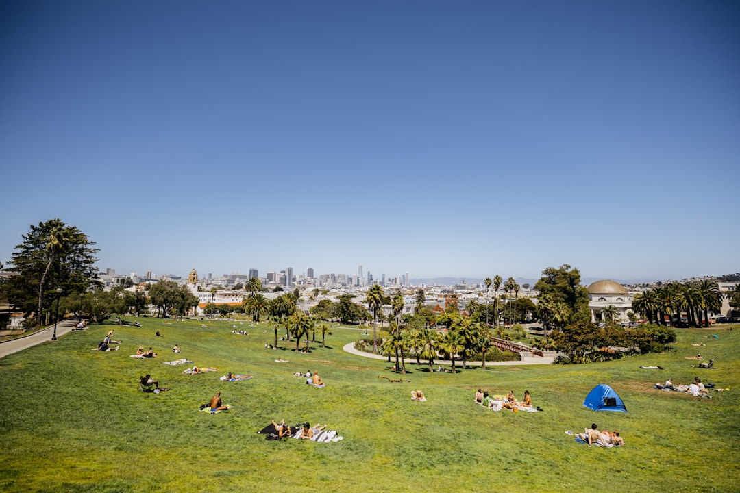 People relaxing in a sunny park with a city skyline.