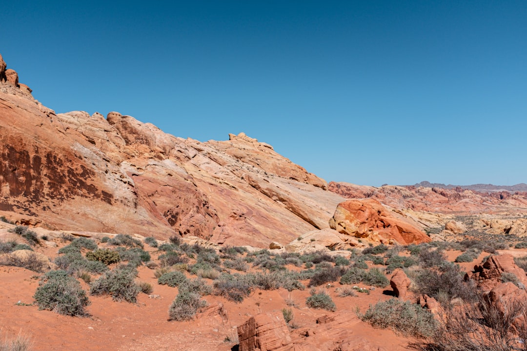 Red desert sandstone formations glowing in warm desert light