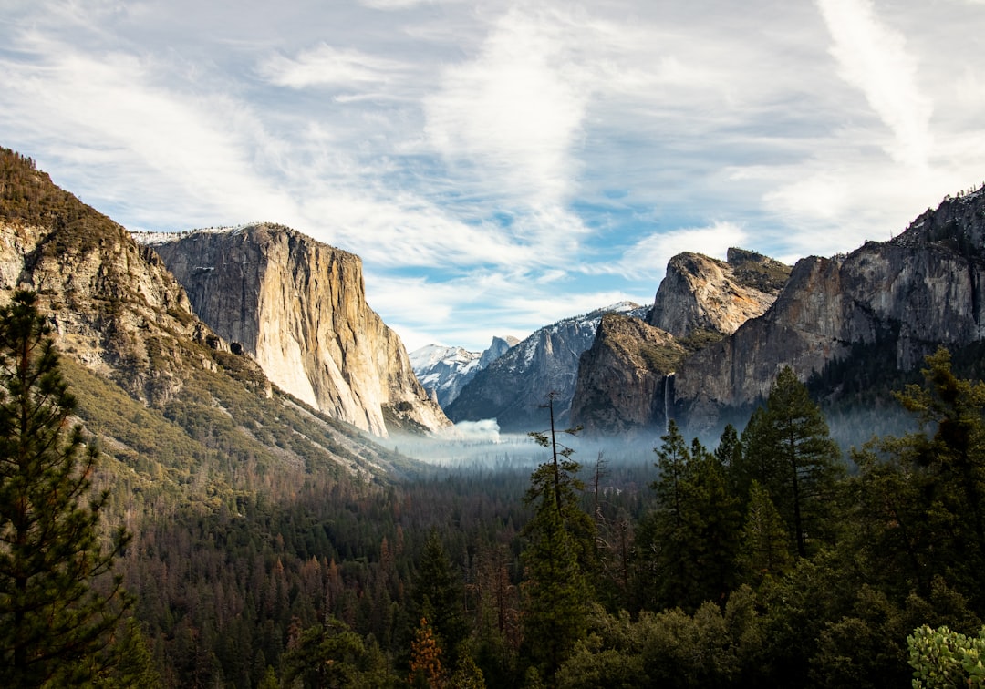 Granite cliffs rising above a pine forest in Yosemite National Park