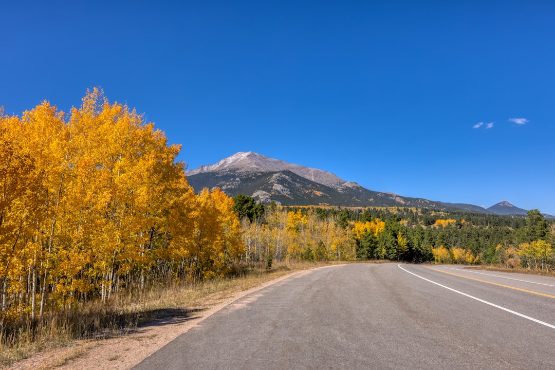A mountain road winding toward autumn peaks in Colorado
